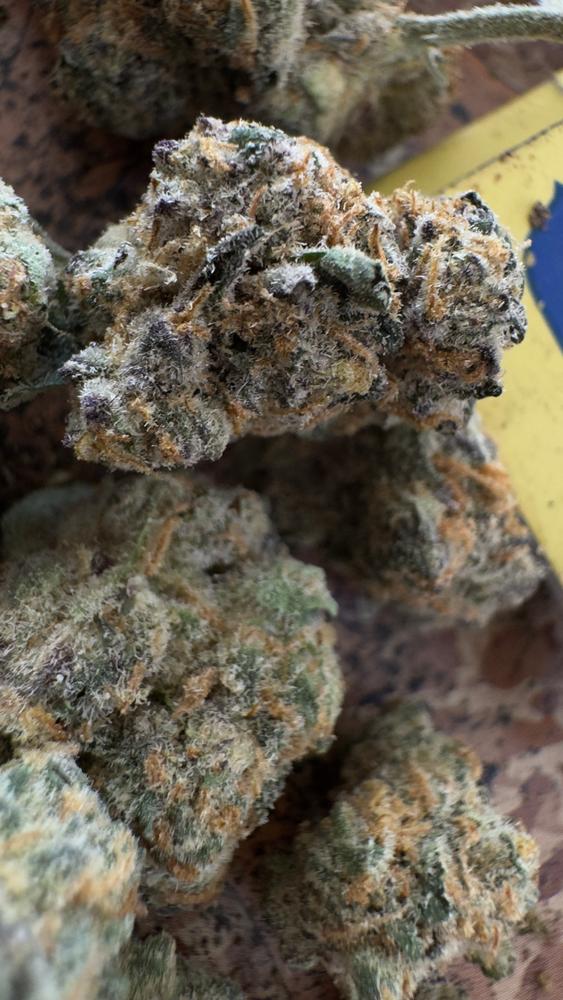 Snowman - Customer Photo From Kenny Giles