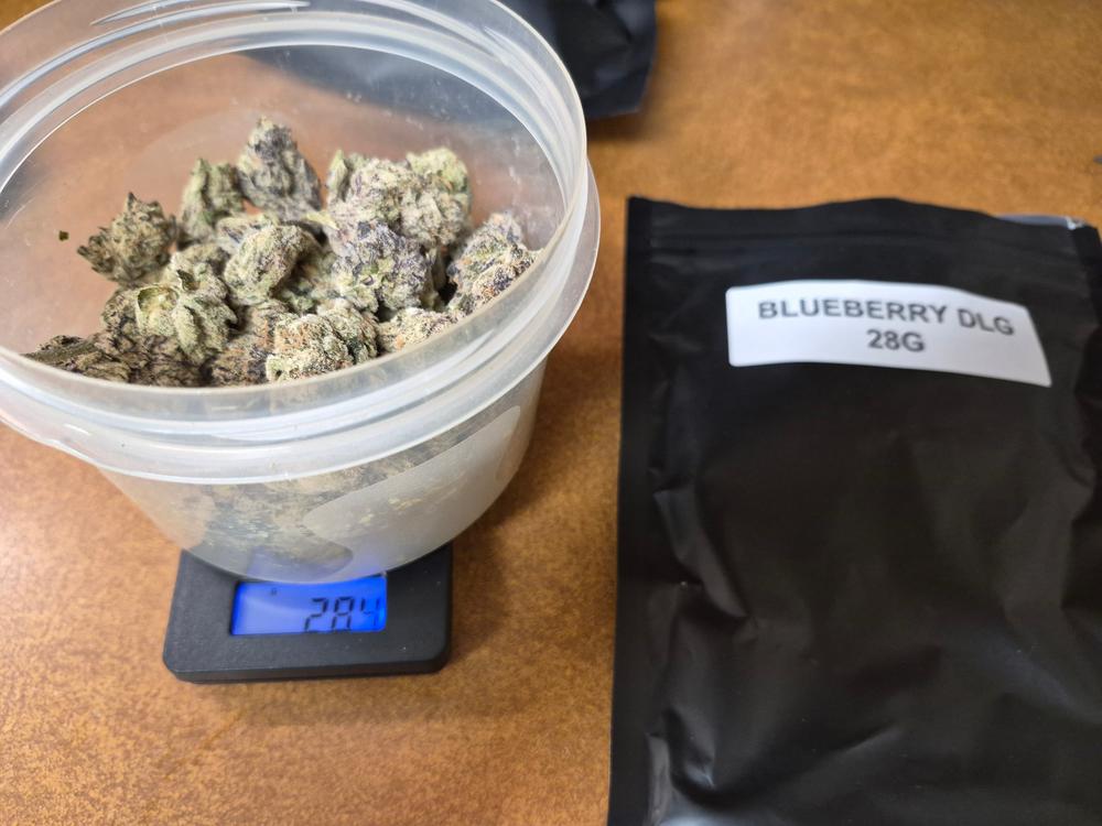 Blueberry DLG - Foto de un cliente de Kent Bracken 