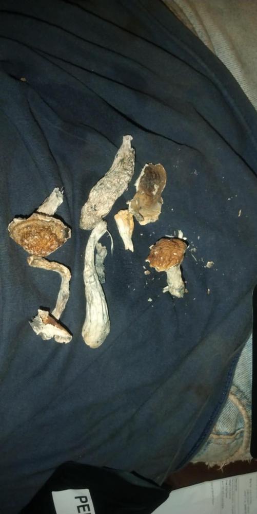 Penis Envy 6 Shrooms - Customer Photo From Justin duffey