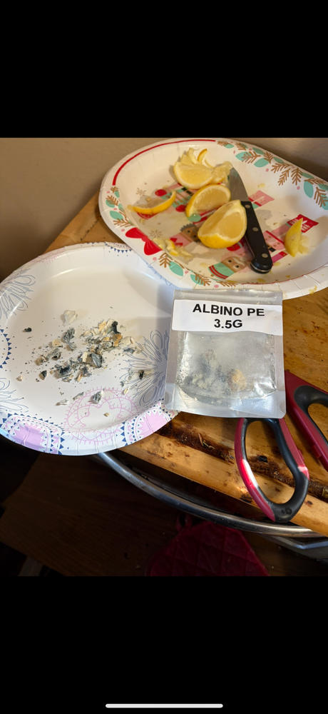 Albino Penis Envy Shrooms - 3.5 grams - Customer Photo From Timothy Kiper