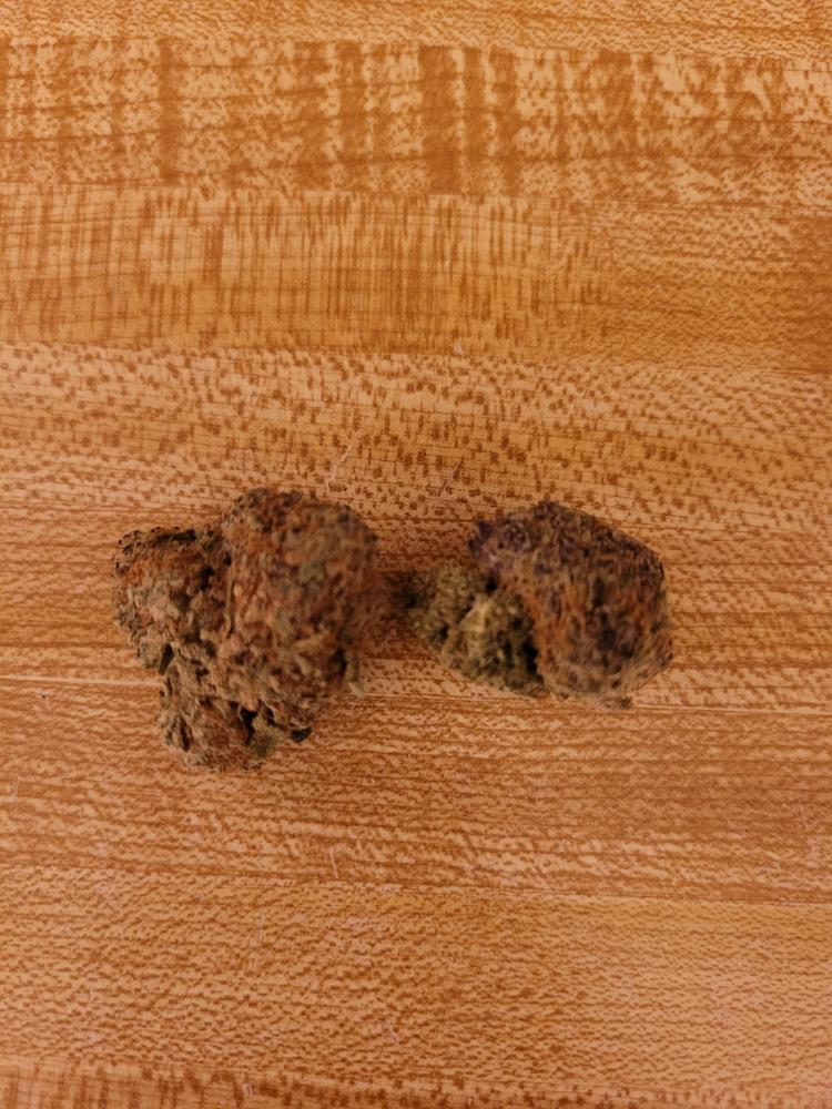 Tropical Punch - Customer Photo From Theresa Farr