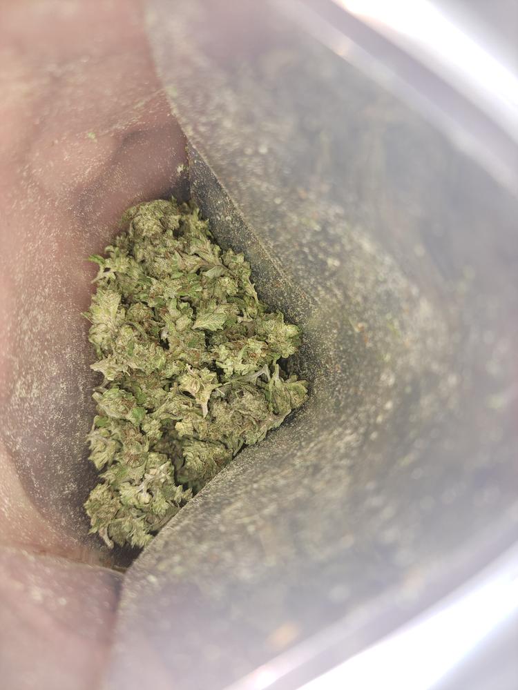 Glitter Bomb Smalls - Customer Photo From Chris