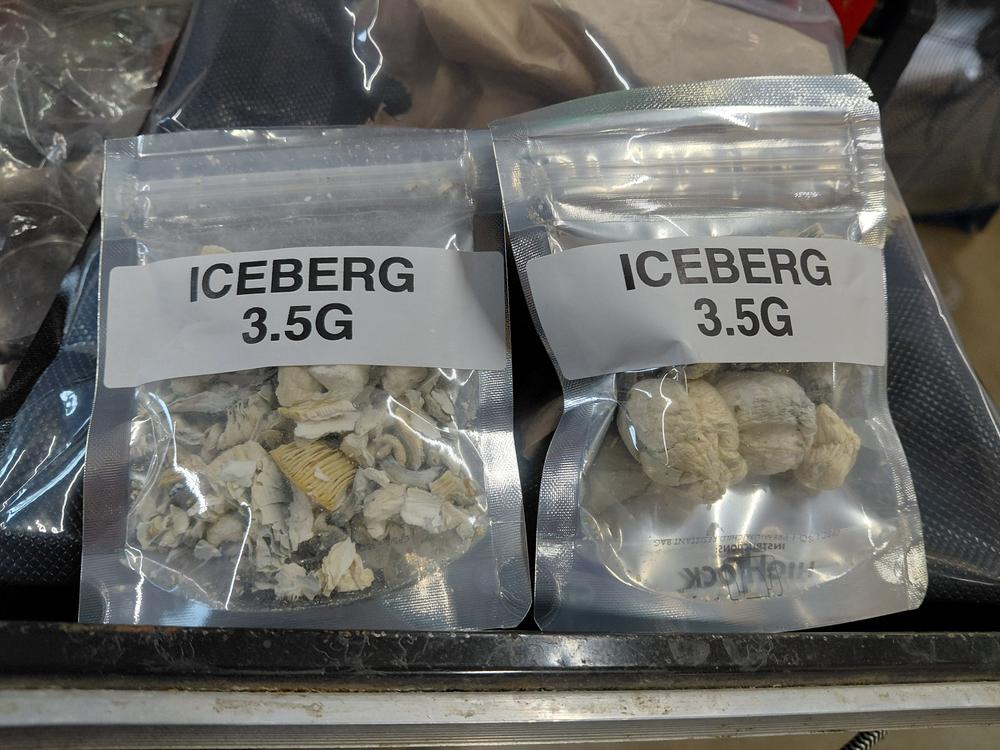 Iceberg - Customer Photo From Nathanal whitaker 