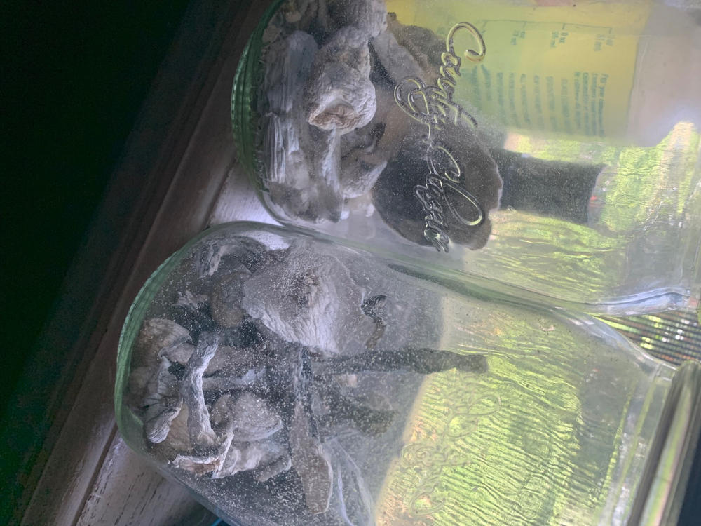 Iceberg - 28 grams - Customer Photo From James Buckner