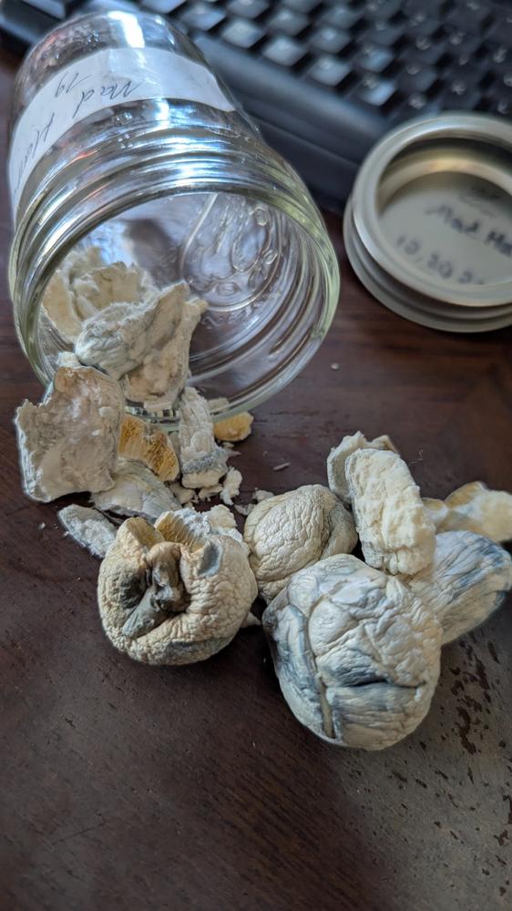 Mad Hatter - 7 grams - Customer Photo From Christopher Brookins