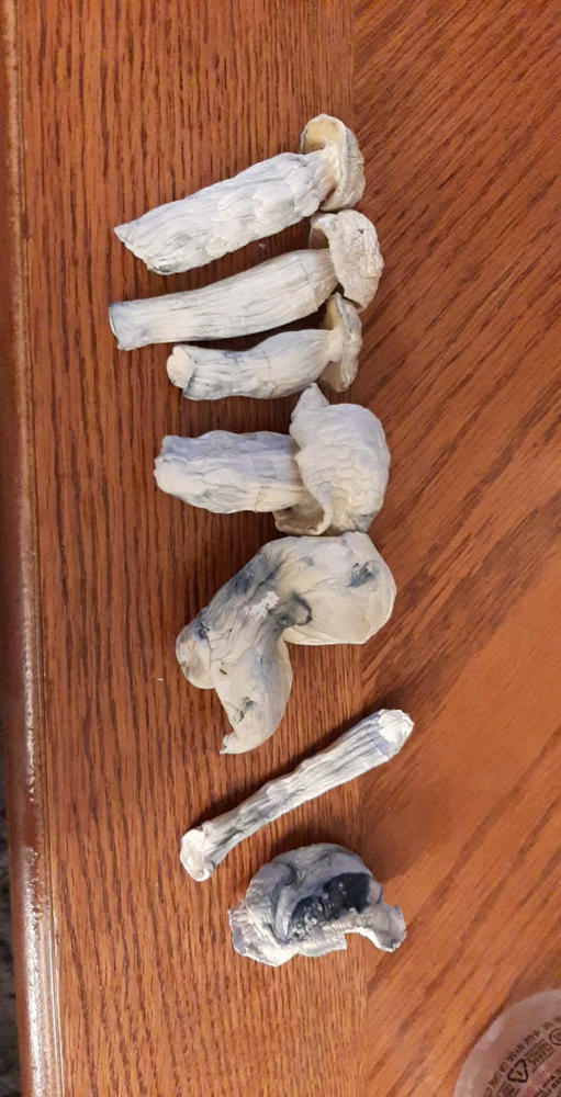 Mad Hatter - 14 grams - Customer Photo From Michael Chapman