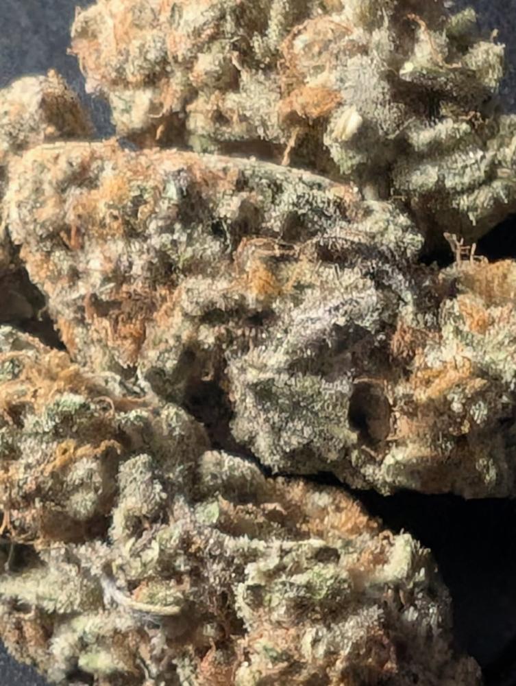 Champagne Runtz - 14 grams - Customer Photo From John Pierce