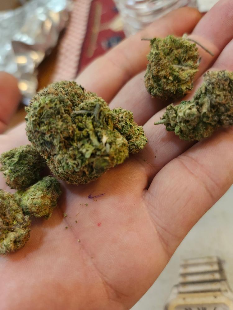 Jungle Gelato - Customer Photo From Richard Armstrong