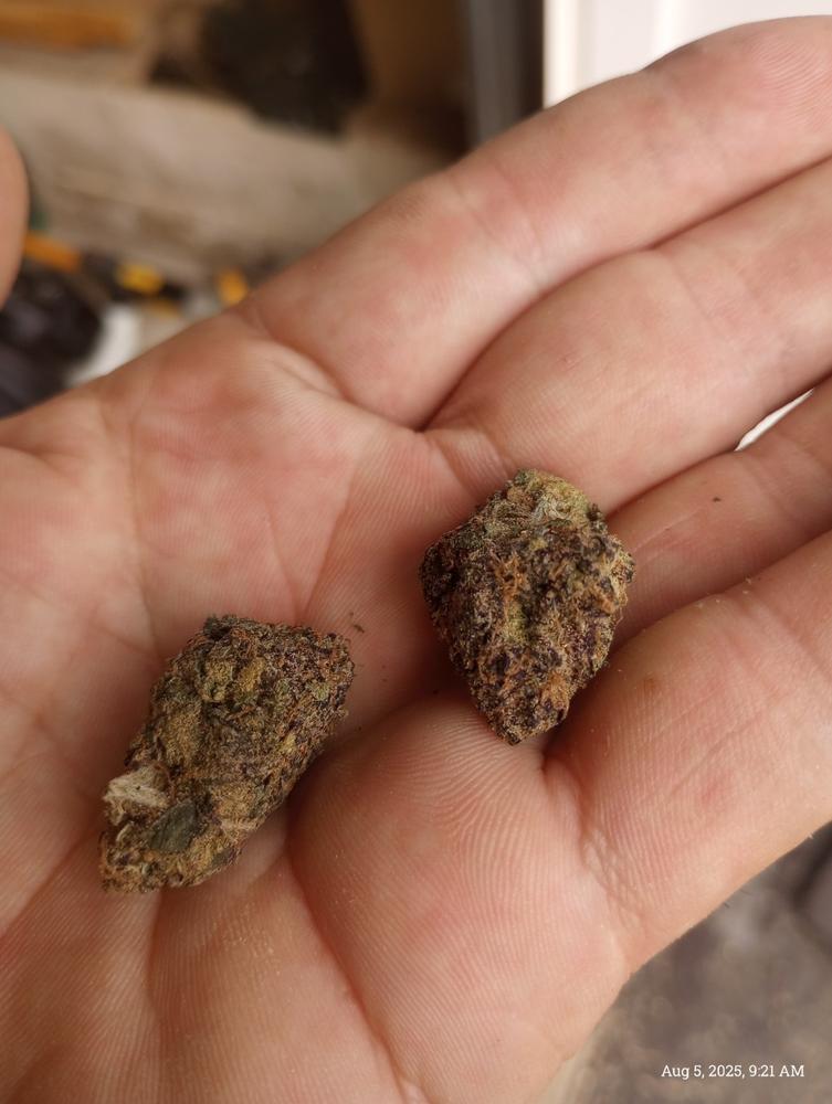 Purple Great Butane - 3.5 grams - Customer Photo From Nicholas Stepanow