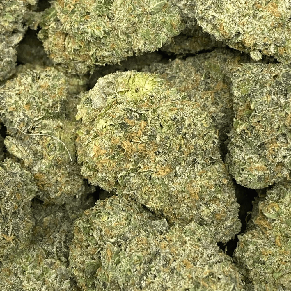 Champagne Gelato - 7 grams - Customer Photo From Awad Guiragoss