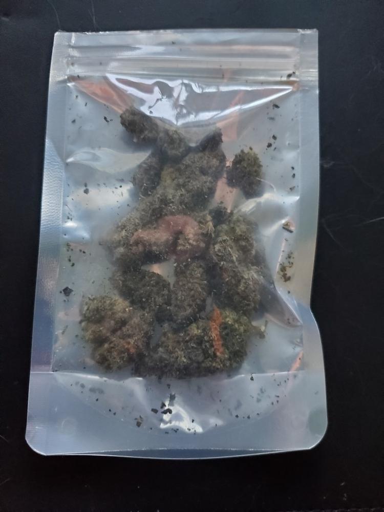 Gumbo - Customer Photo From Peter Young