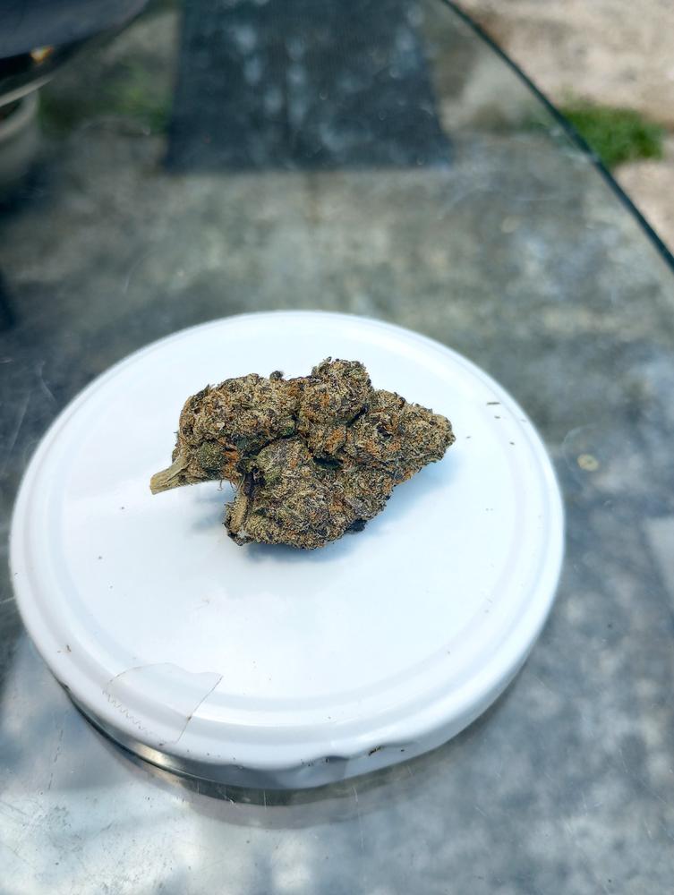 Gumbo - 7 grams - Customer Photo From Angela Kellam