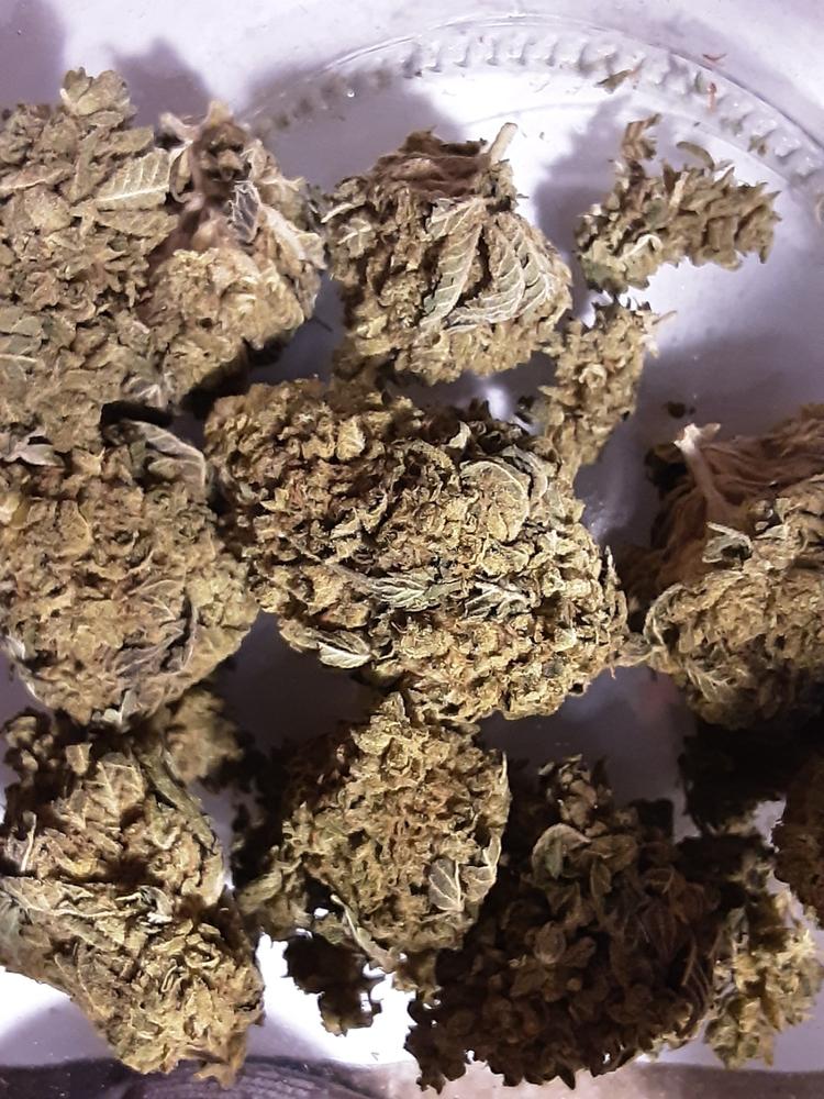 Gelato 45 - 28 grams - Customer Photo From Joe AllenJr