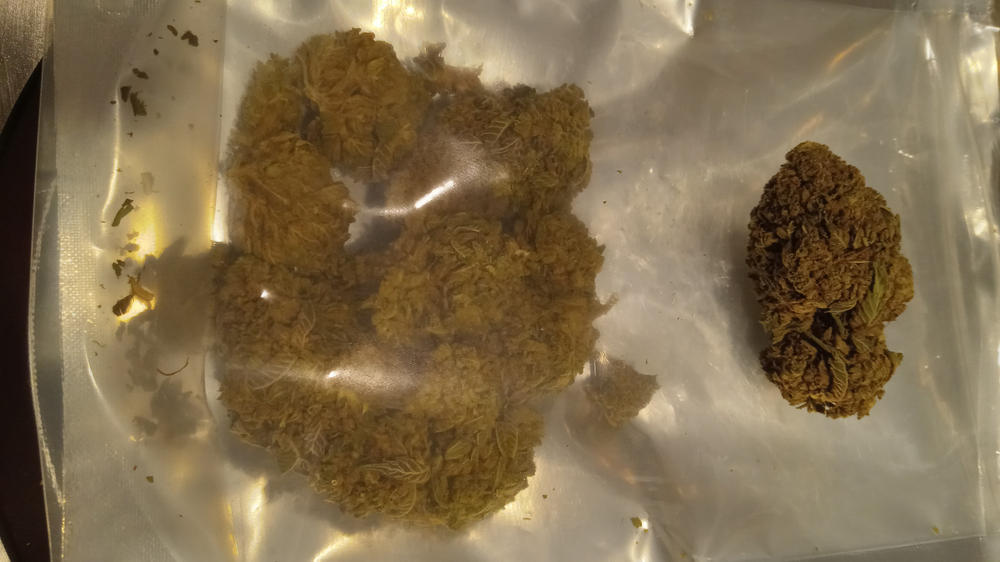 Gelato 45 - 28 grams - Customer Photo From Michael Ross