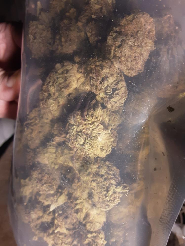 Gelato 45 - 28 grams - Customer Photo From Joe AllenJr