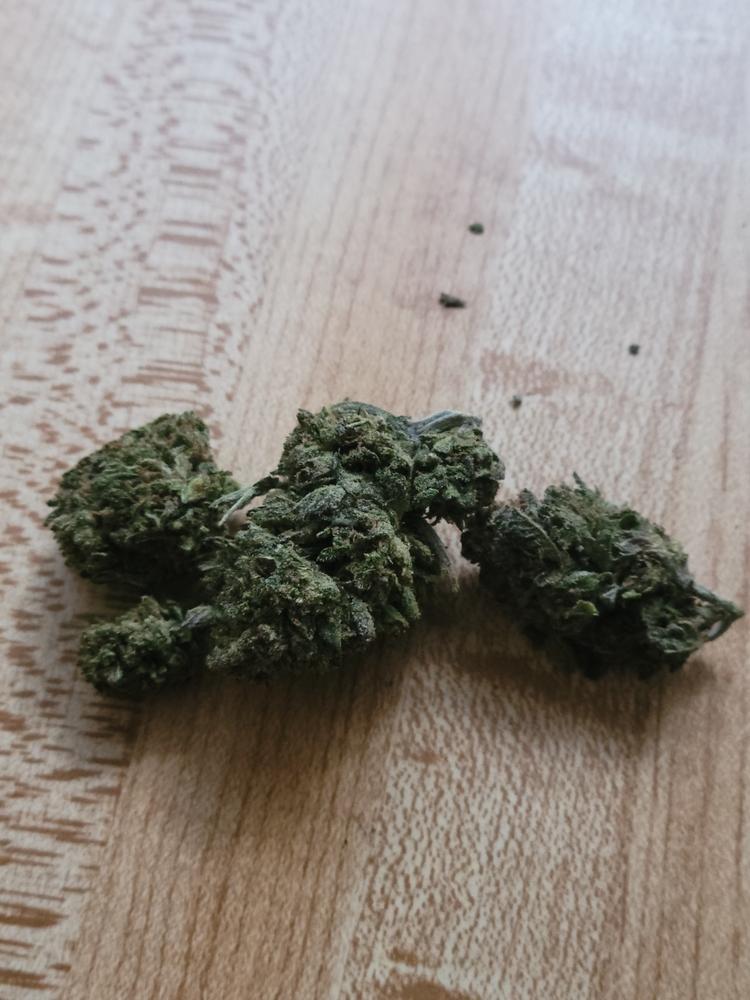 Solar Gelato - Customer Photo From Theresa