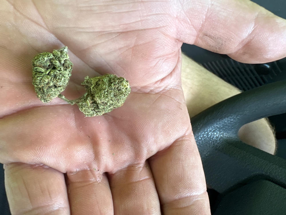 Berry Zest Gelato - 28 grams - Customer Photo From Paul Persa