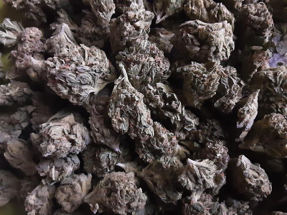 Chemdawg - Customer Photo From Joe