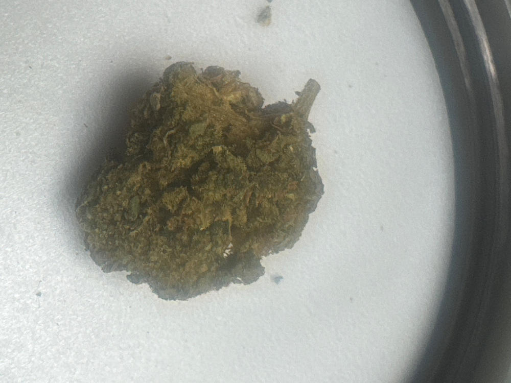 Sour OG - 28 grams - Customer Photo From Doug Knief