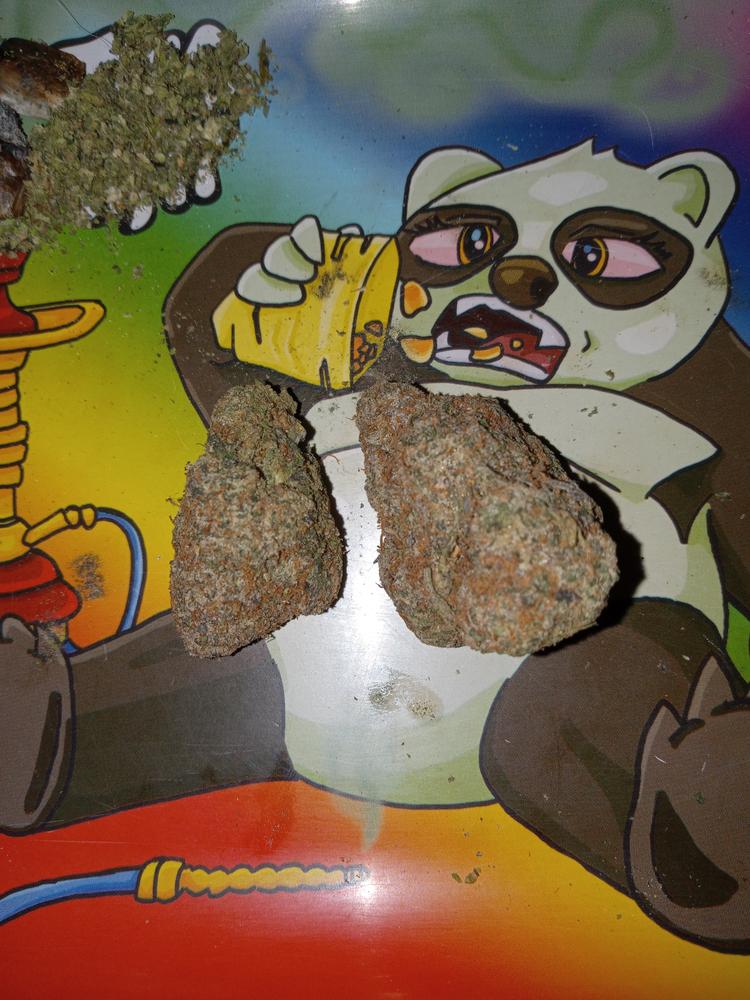 Gelato Gusher - Customer Photo From Karen