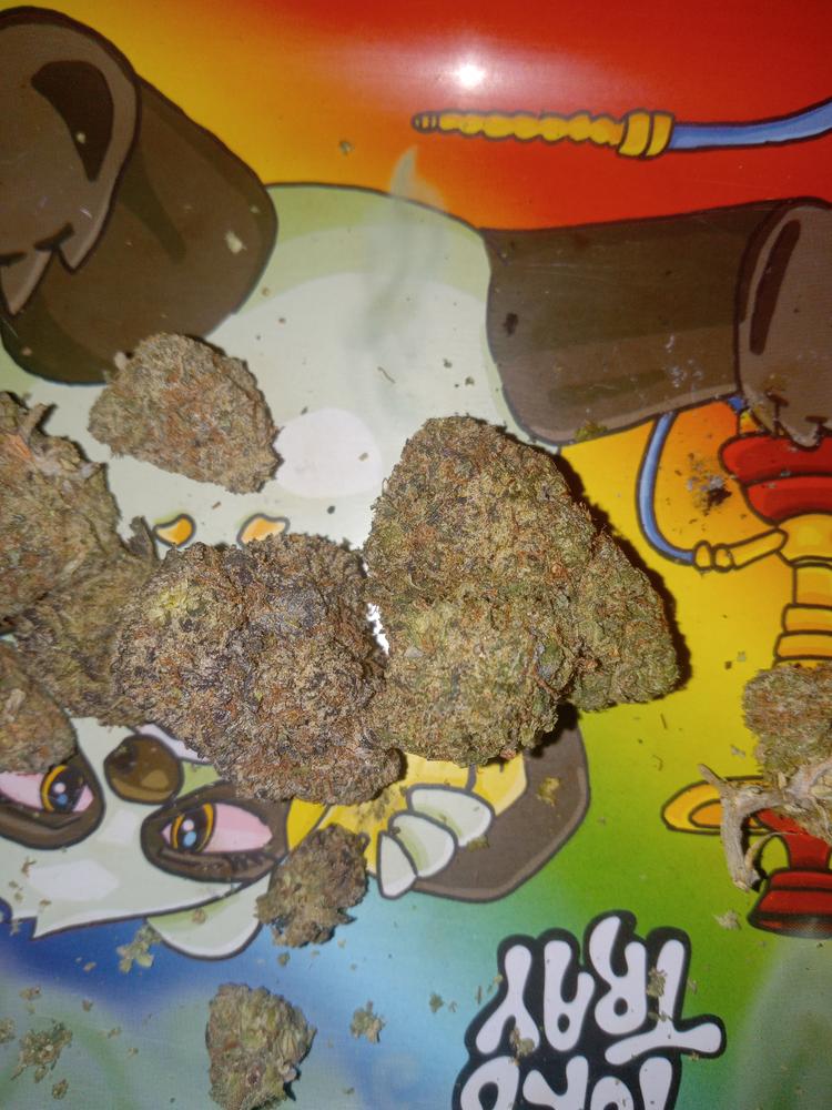 Gumbolatto - Customer Photo From Karen