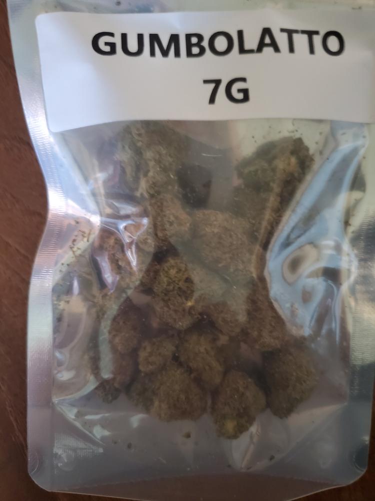 Gumbolatto - Customer Photo From Peter Young