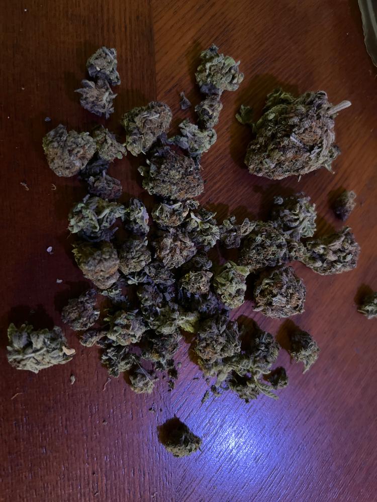 Grand Daddy Purple - Customer Photo From Raul Coronado