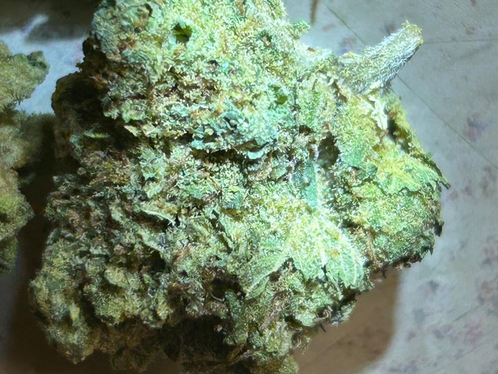 GovernMint Oasis - 28 grams - Customer Photo From Andres Cepeda