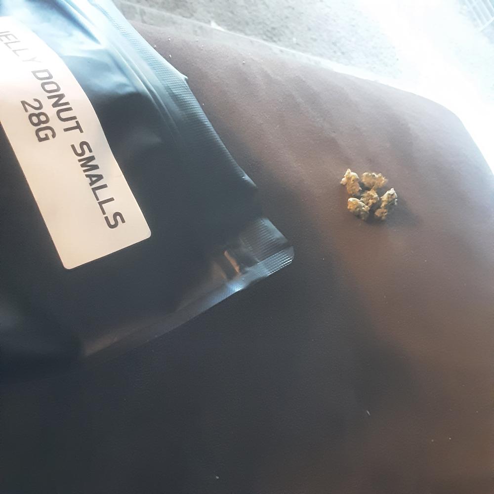 Jelly Donut Smalls - Customer Photo From TRACEY