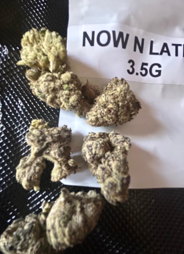 Now n Later - Customer Photo From Maria Pittman