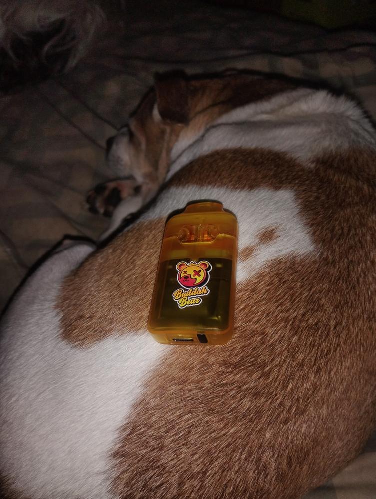 Buddah Bear Sugar Diamond Dispo (3g) - Pineapple OG - Customer Photo From John Miller