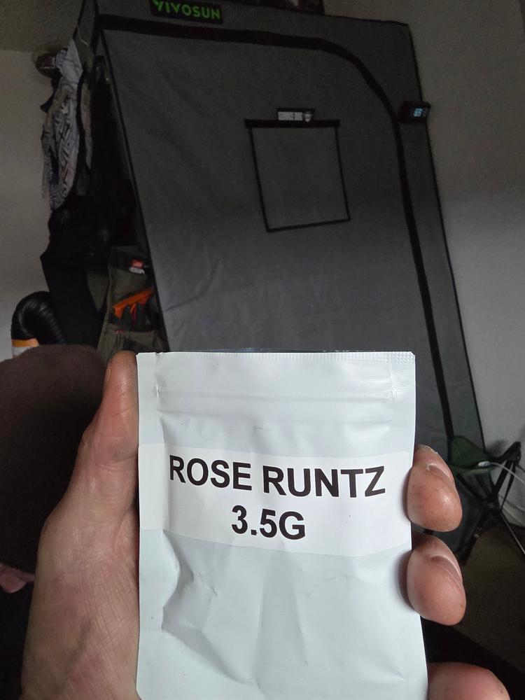 Rose Runtz - Foto de cliente de Matthew Morgan