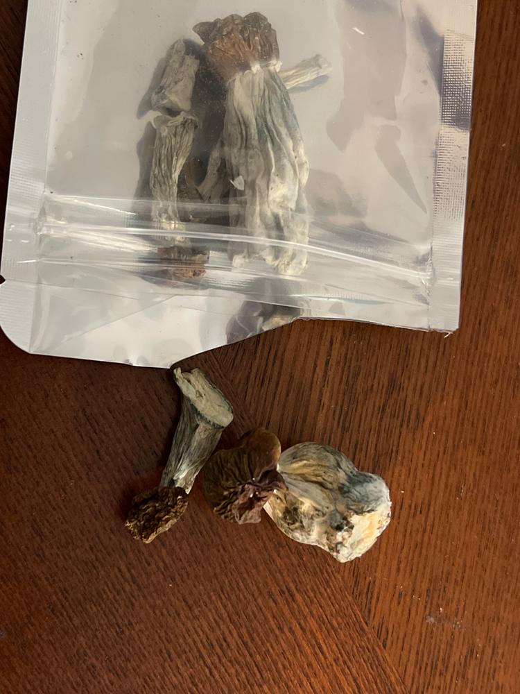 Pumpkin PE Shrooms - Customer Photo From Raul Coronado 