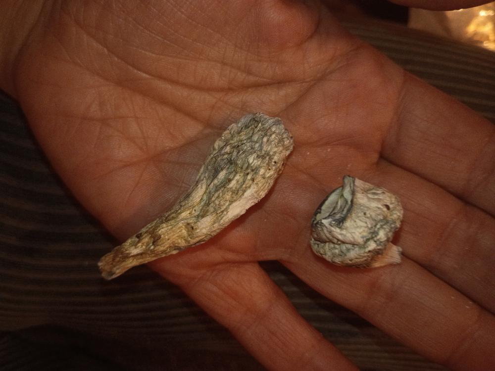 Mckilla - Customer Photo From Lolo