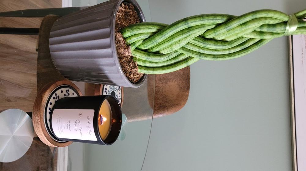 Minty Fresh Morning Candle | Eucalyptus + Spearmint - Customer Photo From Mohammed Khalil