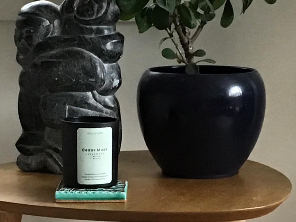 Cedar Musk Candle | Cedarwood + Moss - Customer Photo From Carol H Knowles