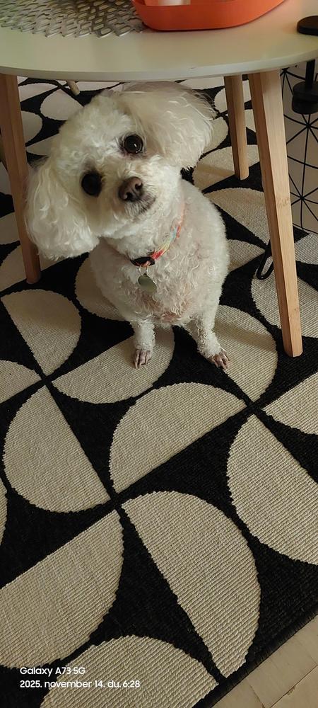 Nordcanin VITARIOR ízületvédő folyadék - Customer Photo From Ágica