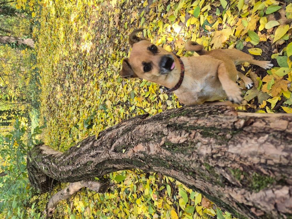 Nordcanin VITARIOR ízületvédő folyadék - 500 ml - Customer Photo From Istvánné Gulyás