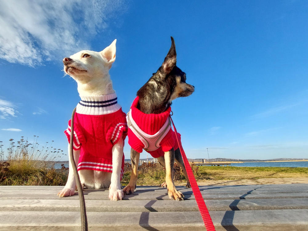 Nordcanin VITARIOR ízületvédő folyadék - 250 ml - Customer Photo From Réka Tagai