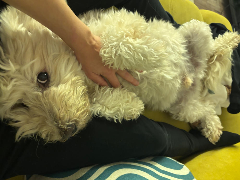 Nordcanin VITARIOR ízületvédő folyadék - 250 ml - Customer Photo From Krisztina Marton