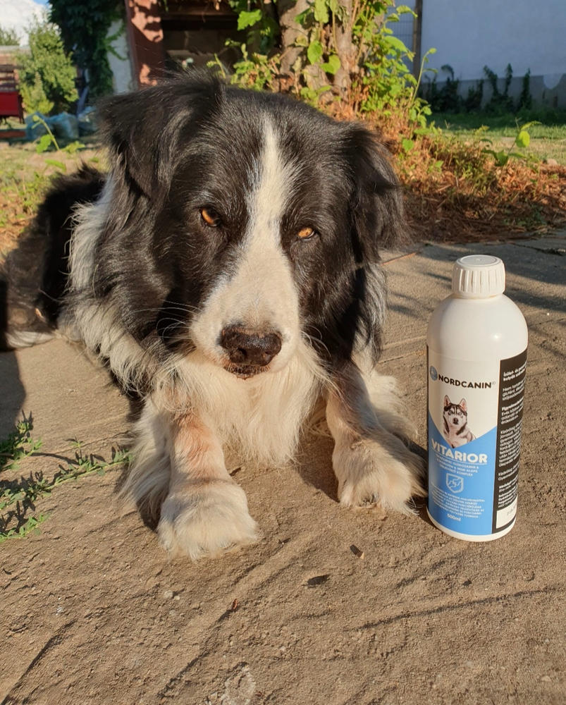 Nordcanin VITARIOR ízületvédő folyadék - 500 ml - Customer Photo From Nóra Abu-Suad