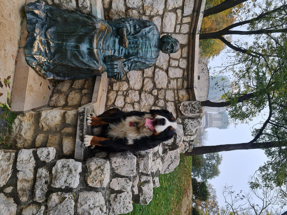 Nordcanin VITARIOR ízületvédő folyadék - 500 ml - Customer Photo From Krisztián Erdélyi