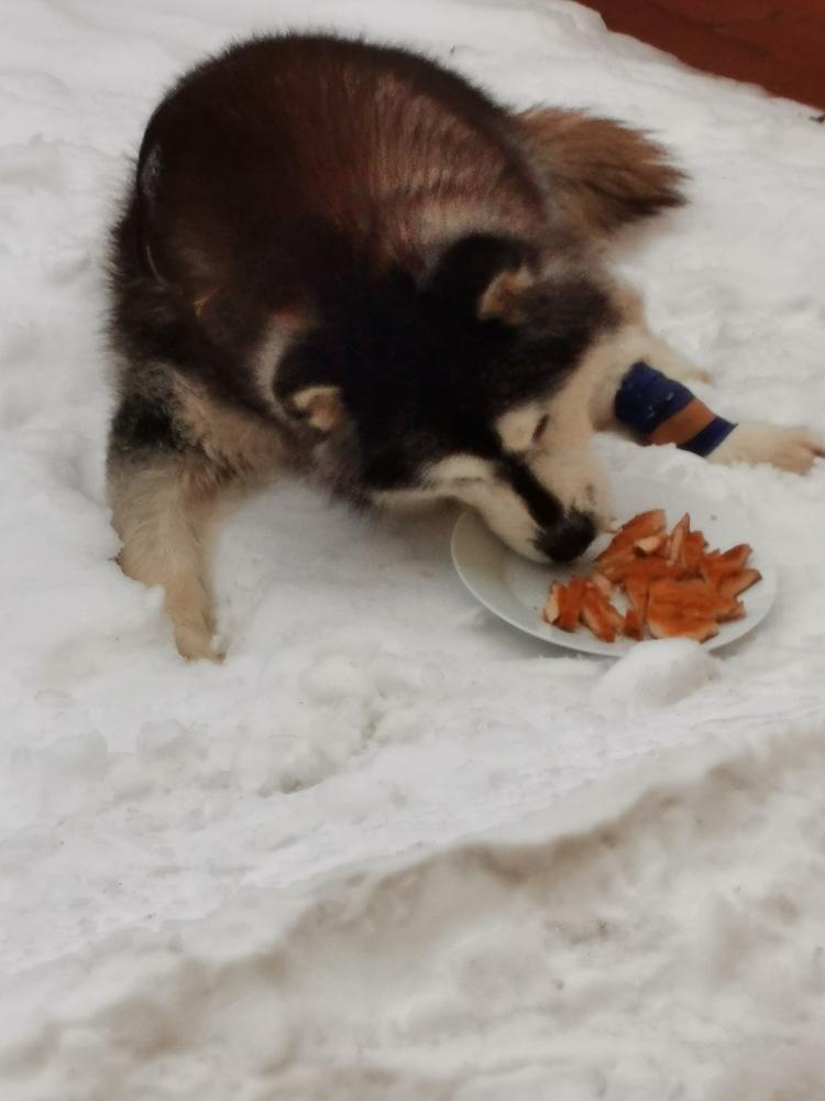 Nordcanin VITARIOR ízületvédő folyadék - 250 ml - Customer Photo From Lajos Nagy