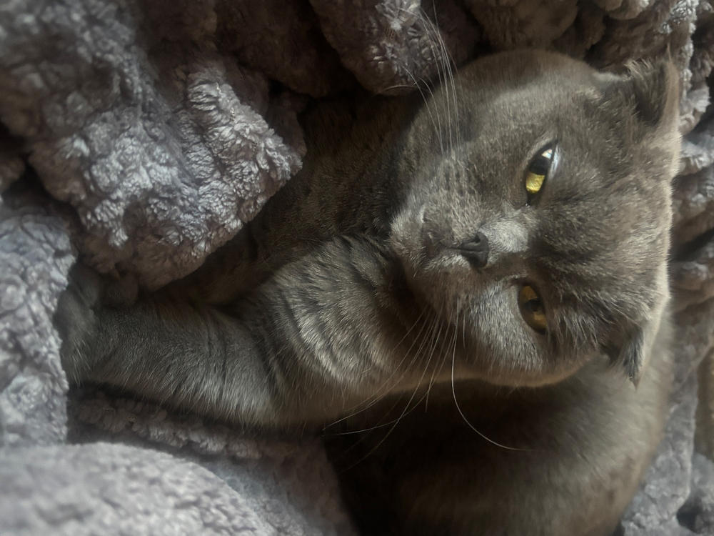 Nordcanin Csukamájolaj - 250 ml - Customer Photo From Róbertné Czinege