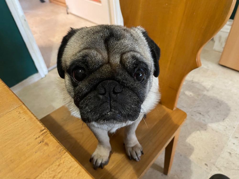 Nordcanin Prémium Hidrolizált Huminsav - 300 g - Customer Photo From Péter Sugár