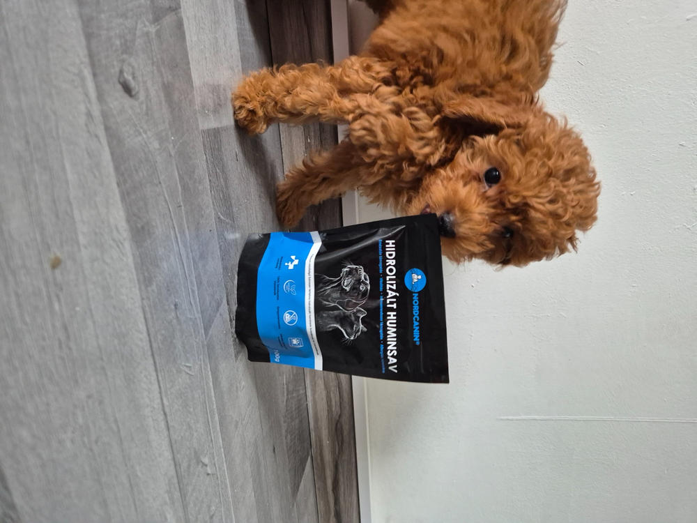 Nordcanin Prémium Hidrolizált Huminsav - 100 g - Customer Photo From Daru Ildikó