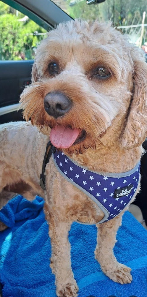 Nordcanin Fiberboost - prebiotikus rost - 100 g - Customer Photo From Éva Neicklné Forgó