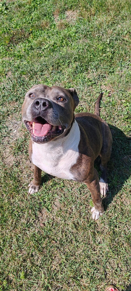 Nordcanin Fiberboost - prebiotikus rost - 300 g - Customer Photo From Anita Szőke