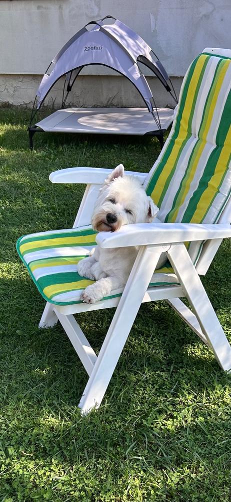 Nordcanin Fiberboost - prebiotikus rost - 100 g - Customer Photo From Brigitta Andrea/Ékszerlove Kft Pap