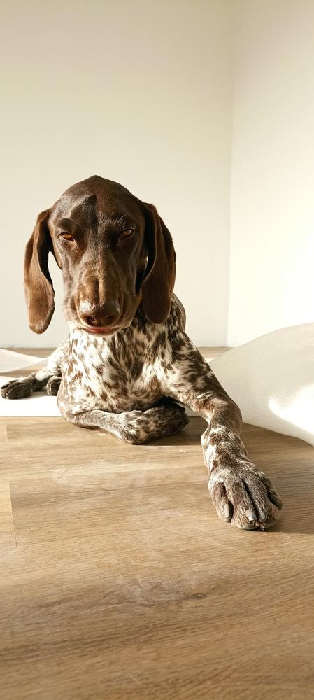 Nordcanin Fiberboost - prebiotikus rost - 300 g - Customer Photo From Anikó Báry